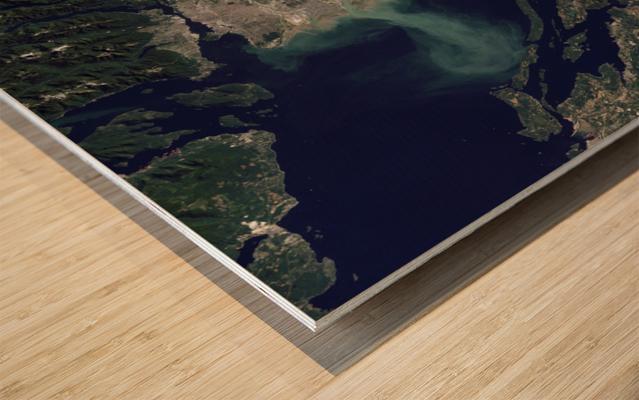 Lower Mainland from Space Wood print