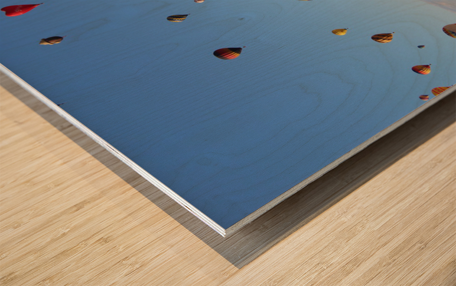 Balloon Fiesta at NASA Wood print