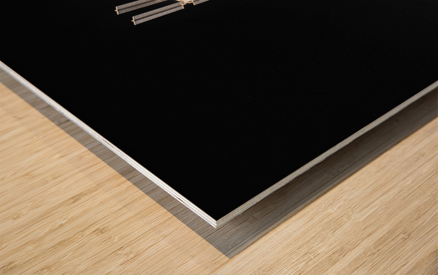 The International Space Station Wood print