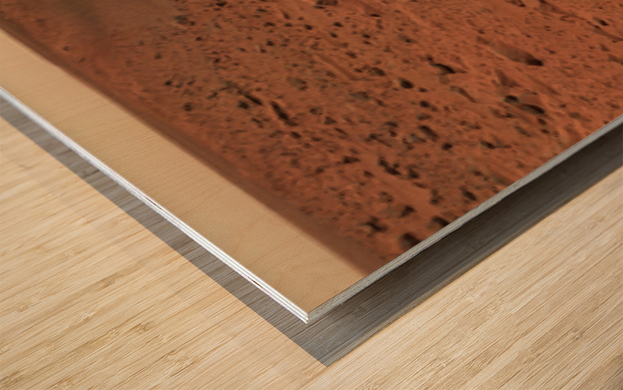 Mars Landscape Wood print