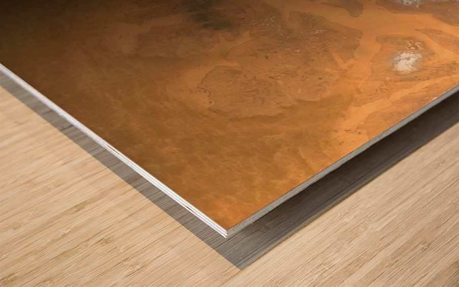 Mars Orbiter Wood print