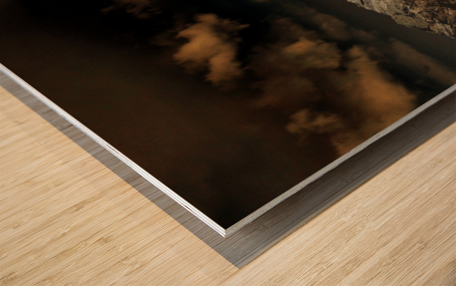 Early Earth Wood print