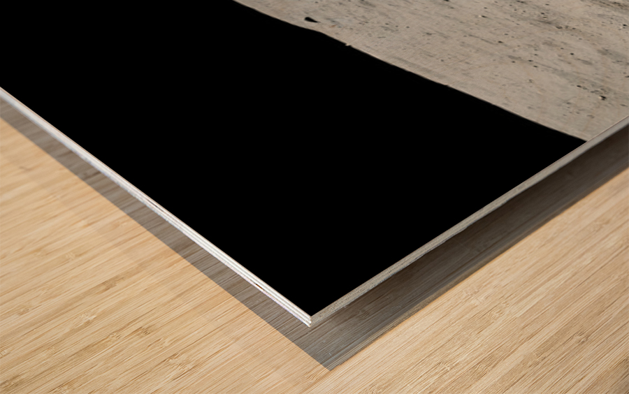 Apollo 16 Panorama Wood print