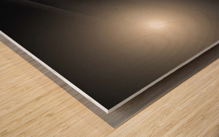 Exoplanet Apparently Disappears Wood print