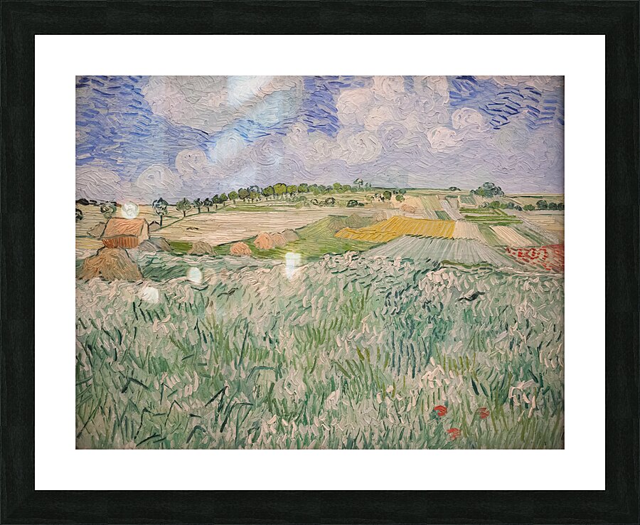 Plain near Auvers Picture Frame print