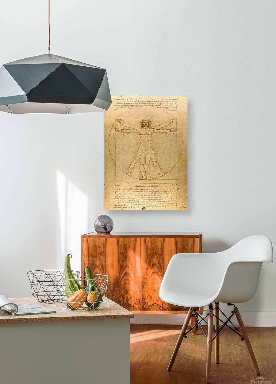 Vitruvian Man Reproduction