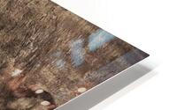 La Scapigliata HD Metal print