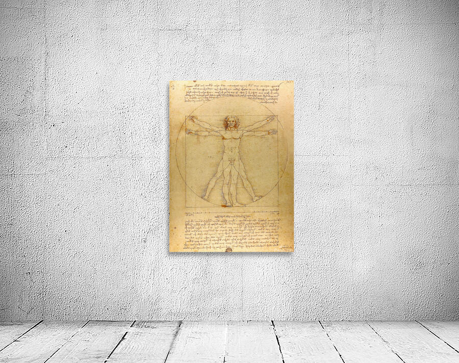 Vitruvian Man Wall Preview