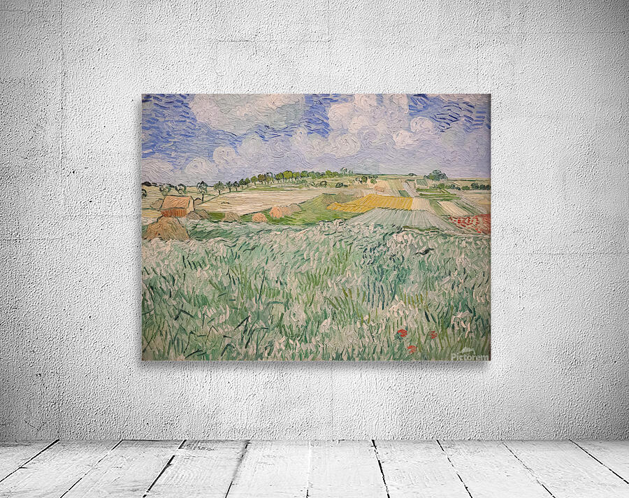 Plain near Auvers Wall Preview