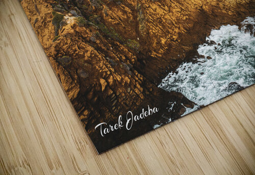 Laguna Beach EYES IN THE SKY puzzle