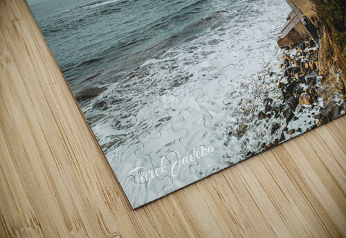 Laguna Beach EYES IN THE SKY puzzle