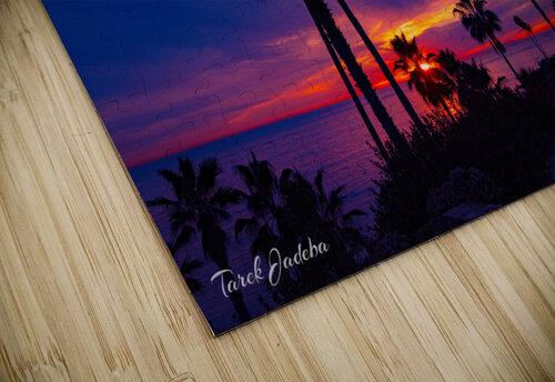 Laguna Beach  EYES IN THE SKY puzzle
