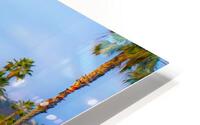 Laguna Beach  HD Metal print