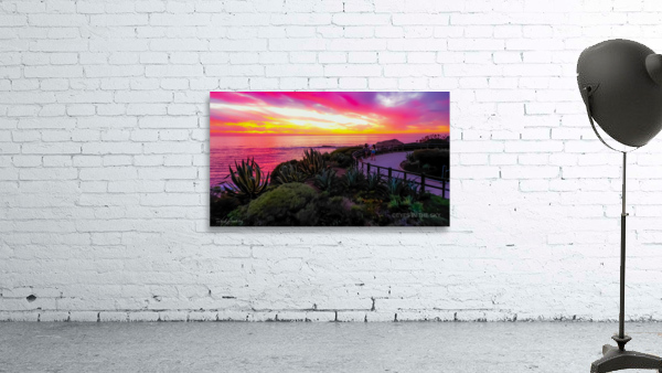Laguna Beach  Wall Preview