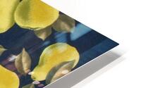 Pear - Navy HD Metal print