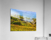 Alligator Sunning Acrylic Print