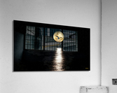 Seagull in Moon Acrylic Print