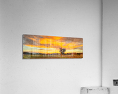 Country Sunset  Acrylic Print