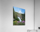 Yellowstone Upperfalls 2 Acrylic Print