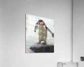 Lonely Penguin Acrylic Print