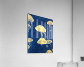 JellyFish Acrylic Print