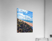 A View Up The Beach Acrylic Print