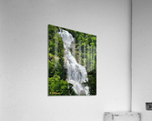 Whitewater Falls Acrylic Print