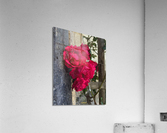 Red Roses Acrylic Print