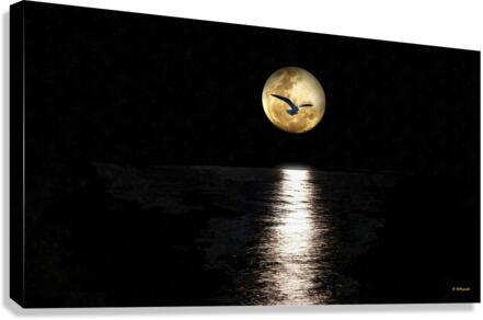 Seagull in Moon Canvas Print