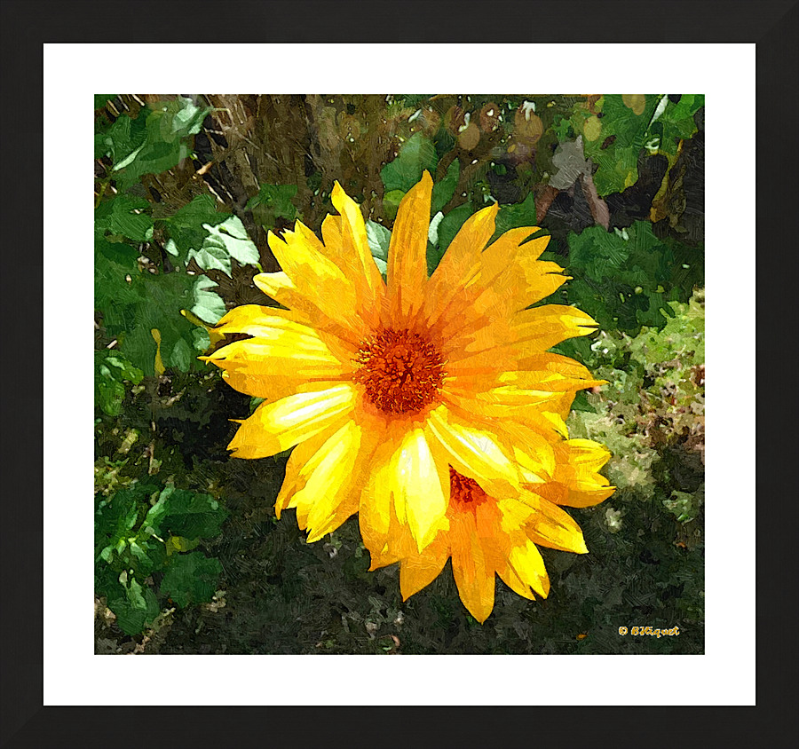 Yellow Flower 2 Picture Frame print