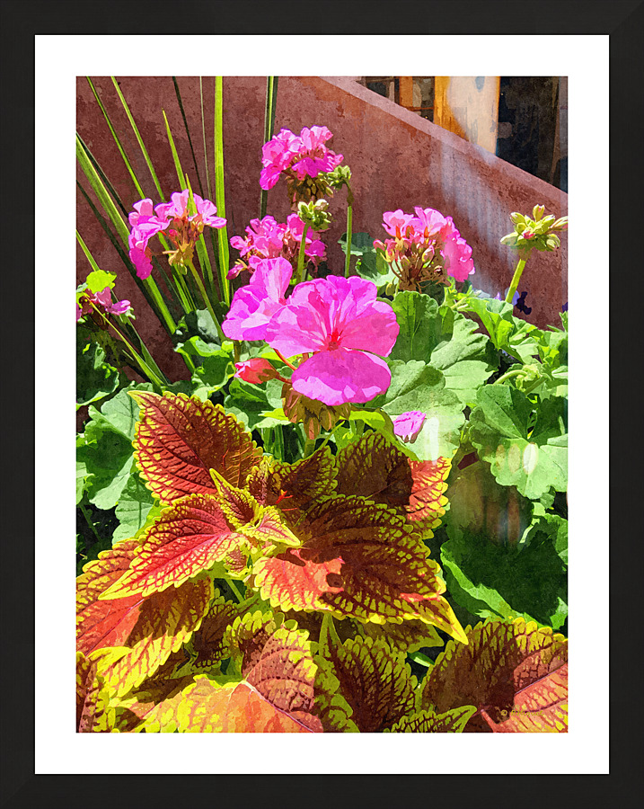 Pink Flowers  Picture Frame print