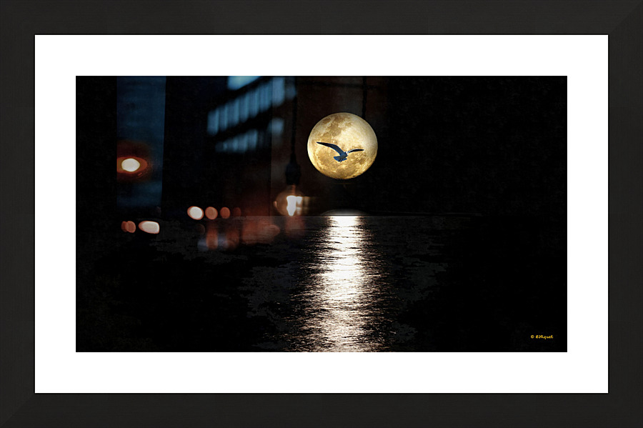 Seagull in Moon Picture Frame print