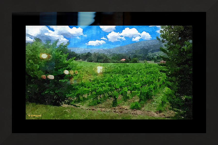 French Vinyard Mountains Picture Frame print