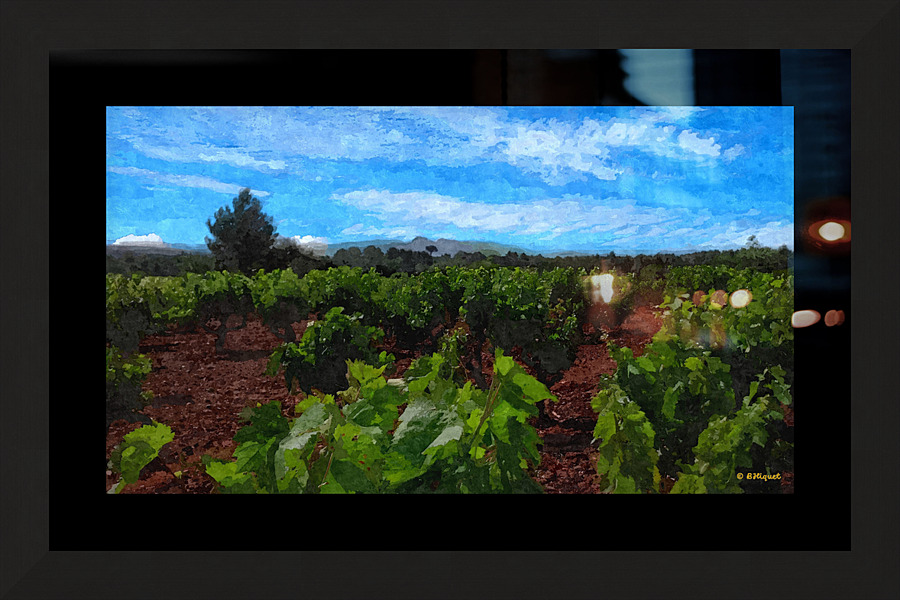 French Vinyard Picture Frame print