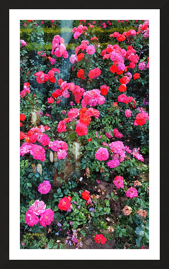 Pink Flowers Picture Frame print
