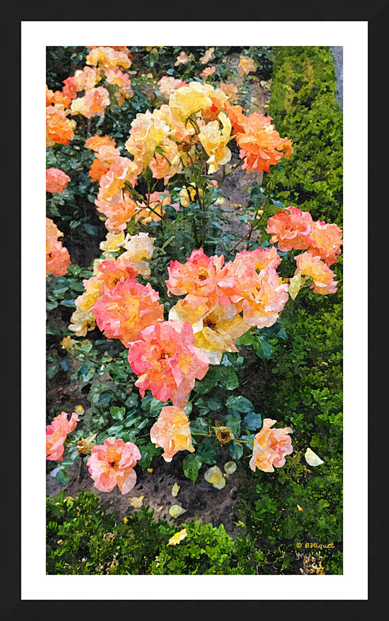 Orange Flowers Picture Frame print