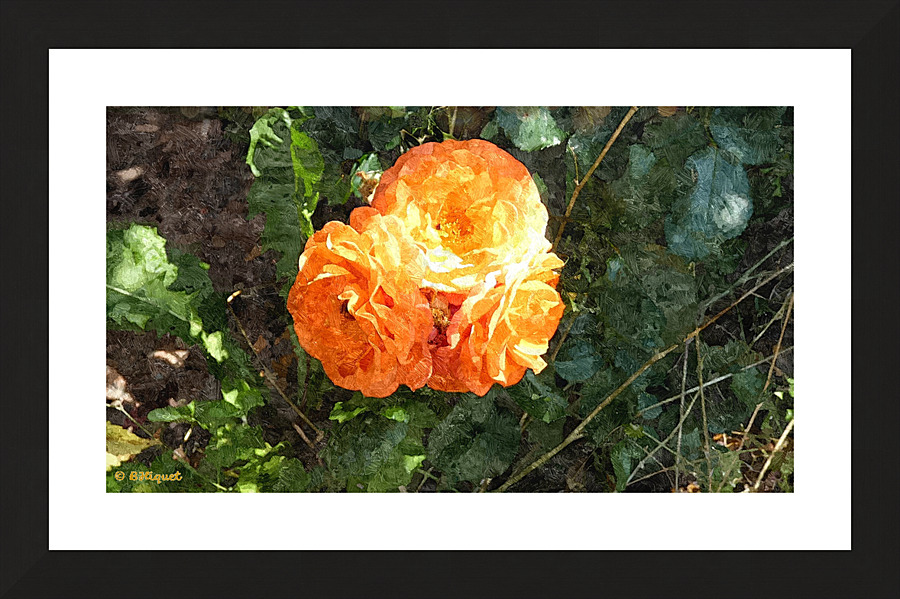 Orange Flower Picture Frame print