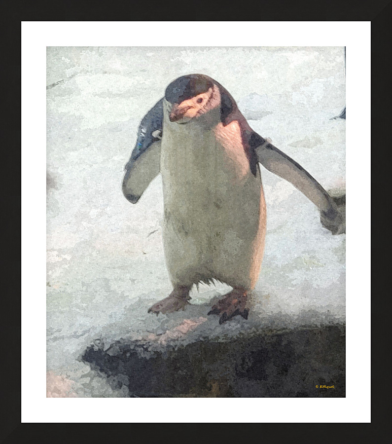 Lonely Penguin Picture Frame print
