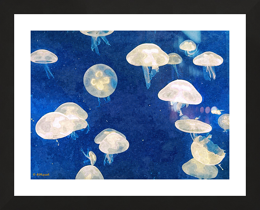 Jellyfish 2 Picture Frame print