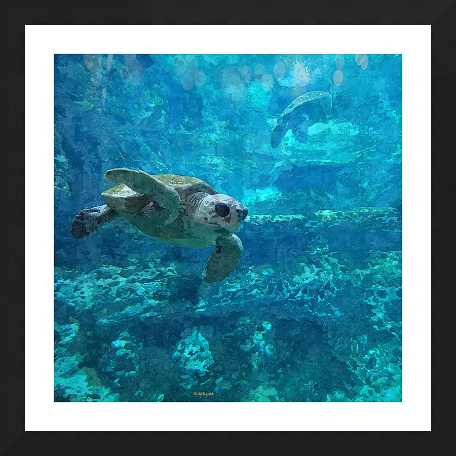Sea Turtle Picture Frame print