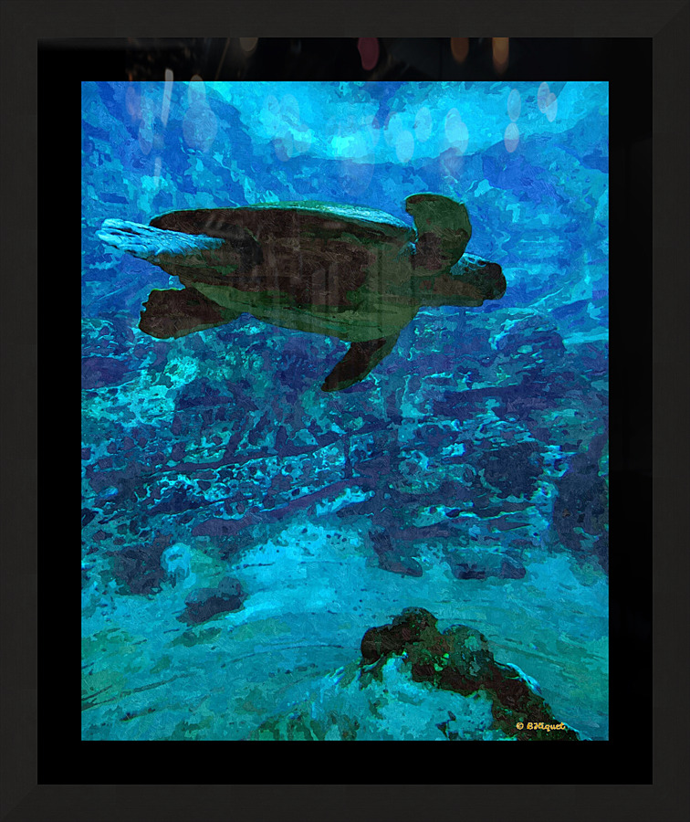 Sea Turtle 2 Picture Frame print