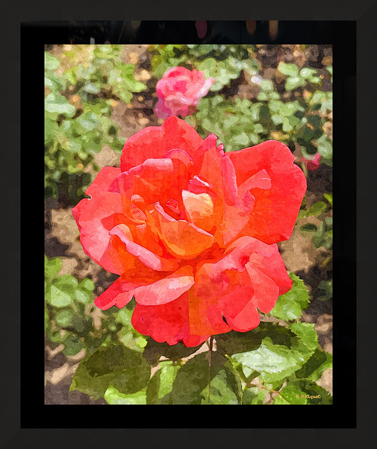 Single Rose Picture Frame print