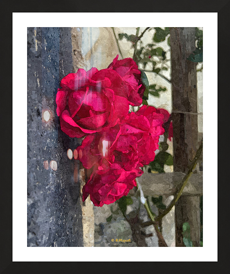 Red Roses Picture Frame print