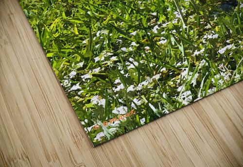 Tropical Bird BRADLEY HIQUET puzzle