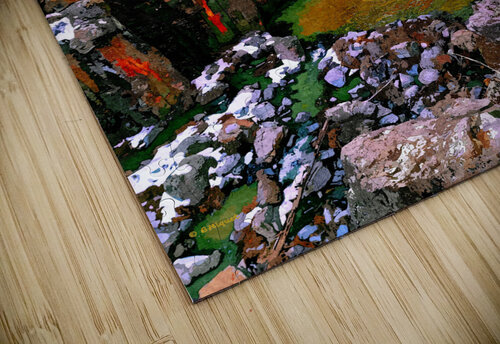 Sycamore Falls BRADLEY HIQUET puzzle