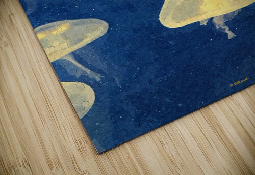 JellyFish BRADLEY HIQUET puzzle