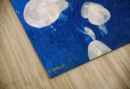 Jellyfish 2 BRADLEY HIQUET puzzle