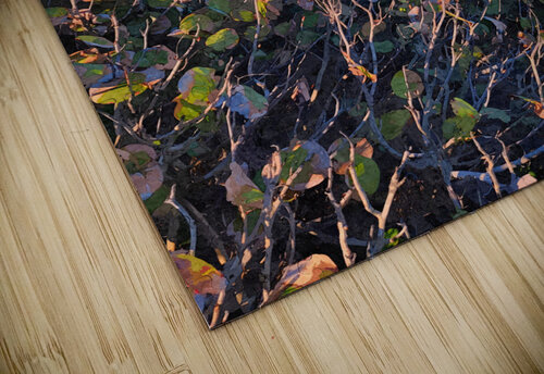 A View Up The Beach BRADLEY HIQUET puzzle