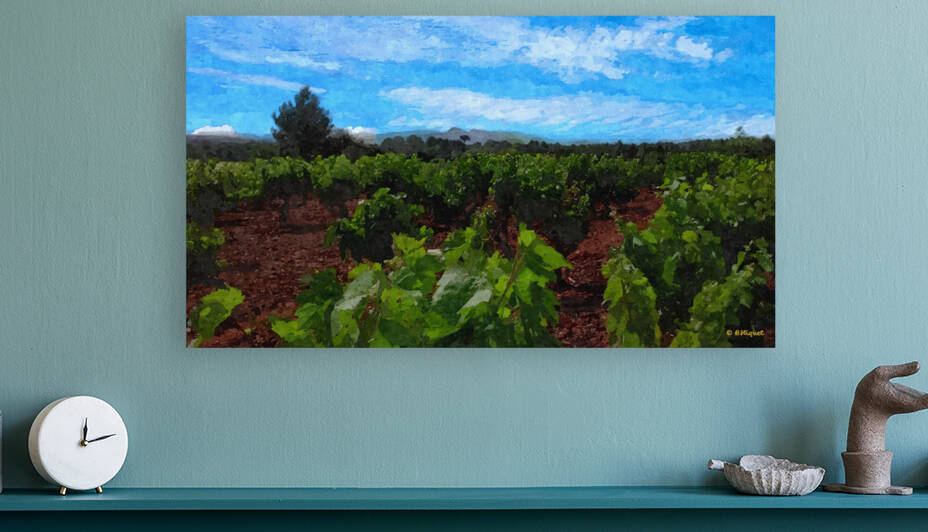 French Vinyard by BRADLEY HIQUET