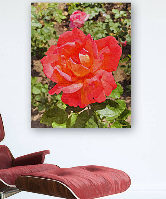 Single Rose by BRADLEY HIQUET